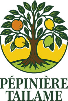 SCEA PEPINIERE TAILAME