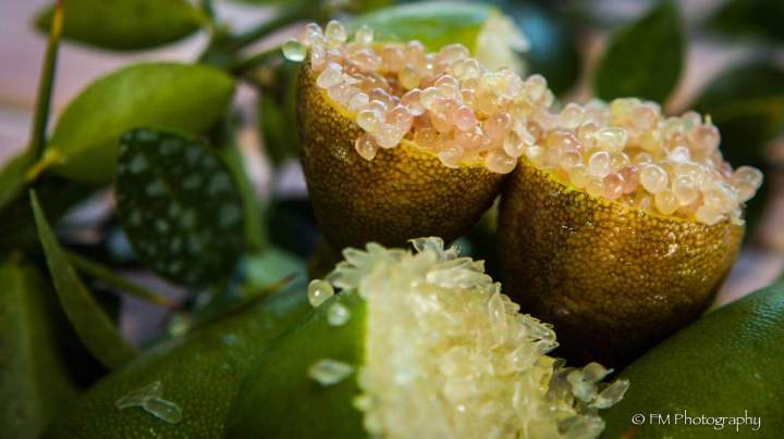 Citron caviar La Réunion