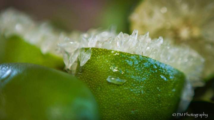 Citron caviar Pépinière Tailame La Réunion